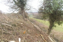 Colly farm