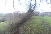 Colly farm