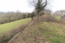 Colly farm