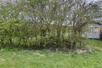 Rampisham,  Mountover March2024