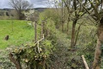 Rampisham,  Mountover March2024