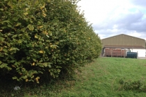 Yetminster Oct 2014