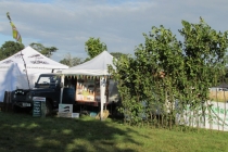Stockgaylard Oak Fair 2014