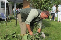 Dorset Show 2014