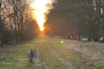 Kingston Lacy NT Jan 2026