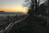 Kingston Lacy NT Jan 2026