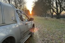 Kingston Lacy NT Jan 2026