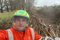 Kingston Lacy, NT Jan 2026