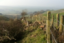 Bellamount Farm 13/14